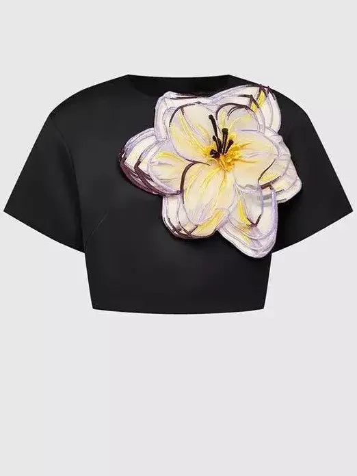 3D Floral Appliqued Crop Top and Flared Skirt Set - Suits & Sets