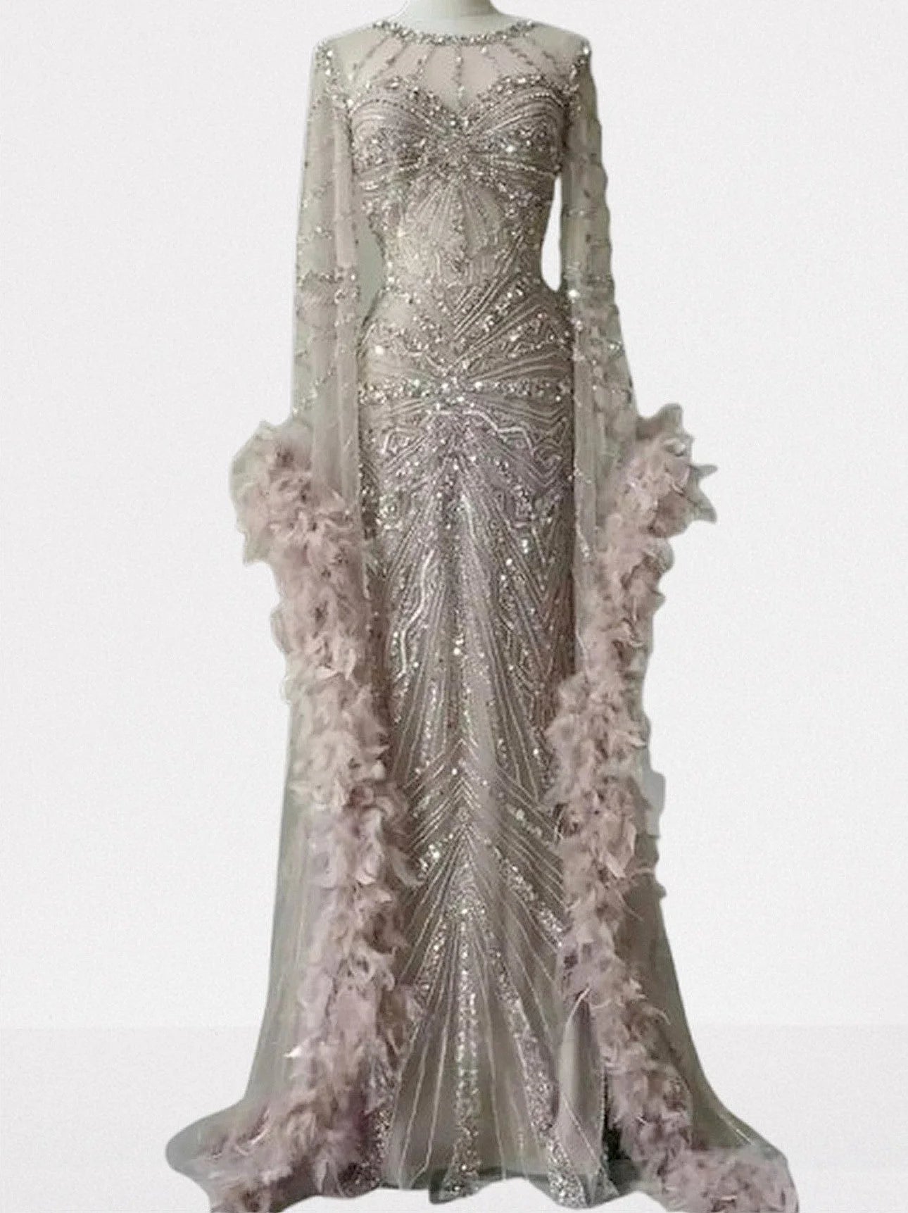 Embellished Long Tulle Gown with Feathers