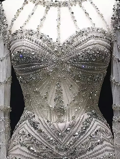 Embellished Long Tulle Gown with Feathers