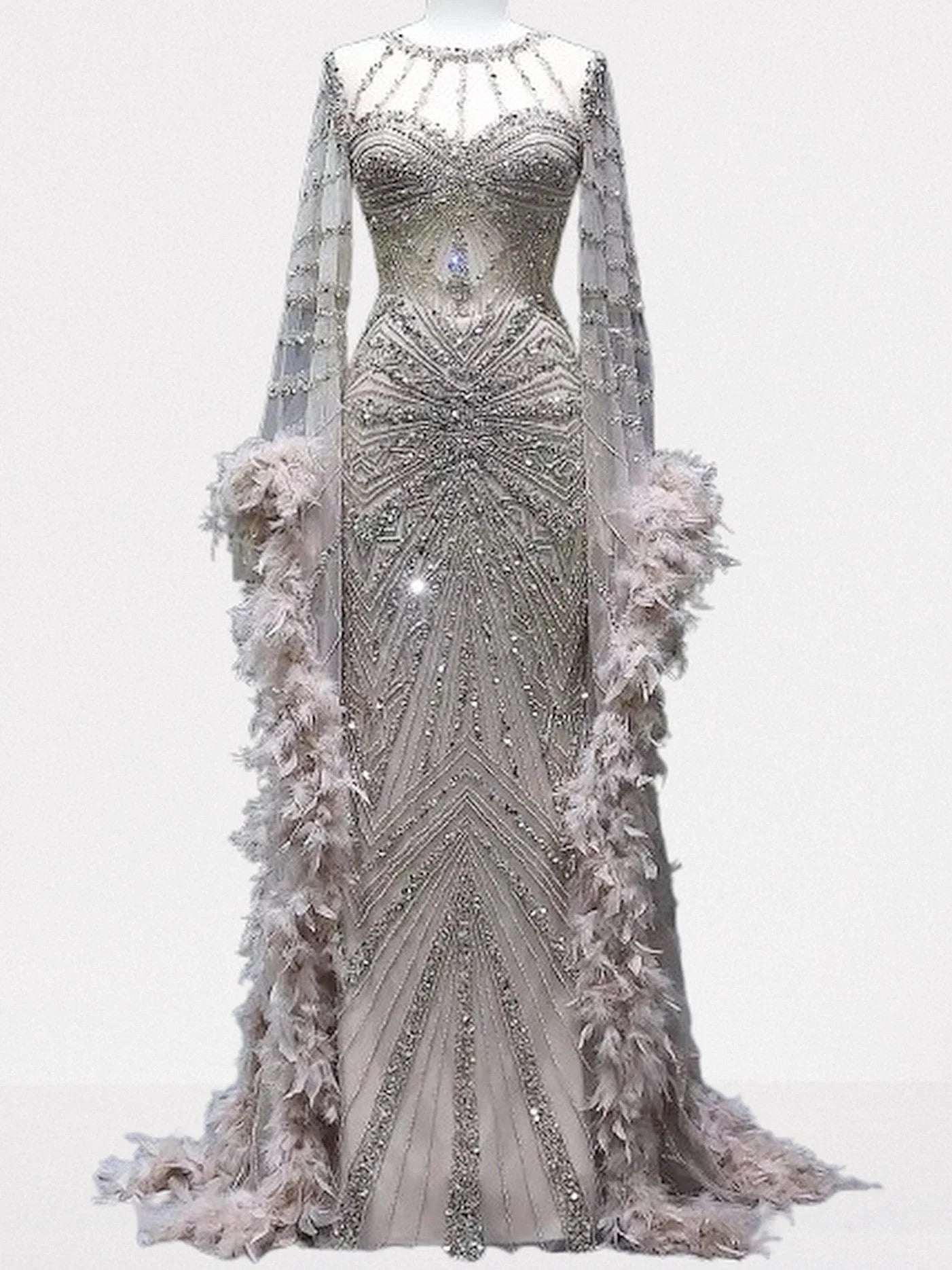 Embellished Long Tulle Gown with Feathers