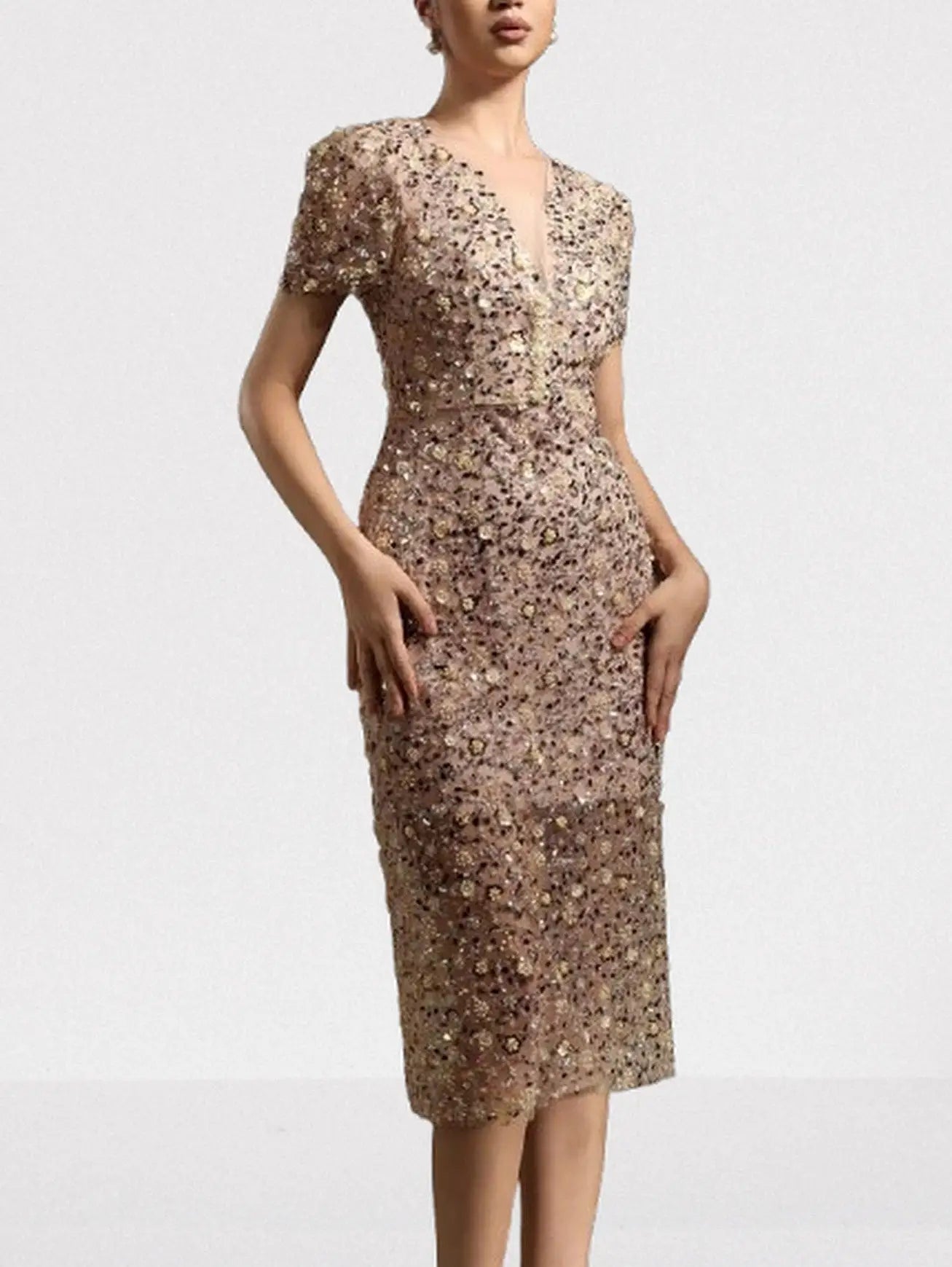 Embellished Semi-Sheer Mesh Midi Dress - Dresses