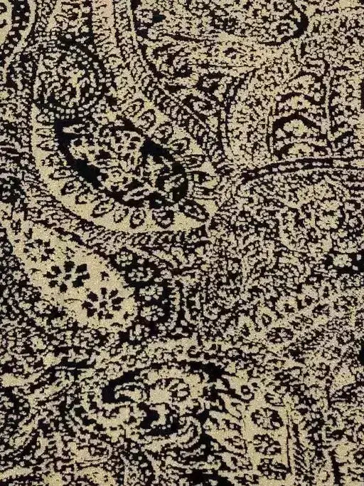 Gold & Black Paisley Knit Maxi Dress - Dresses