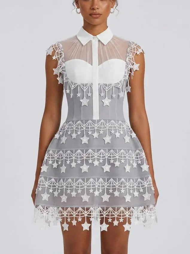 Gray Star Embellished Collared A Line Mini Dress