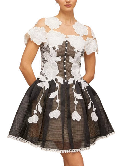 A-Line Black and White Floral-Embroidered Mesh Dress - Dresses