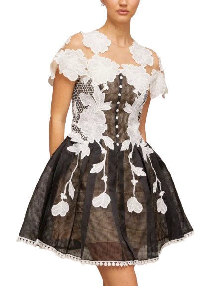 A-Line Black and White Floral-Embroidered Mesh Dress - Dresses