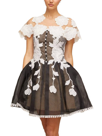 A-Line Black and White Floral-Embroidered Mesh Dress - Dresses