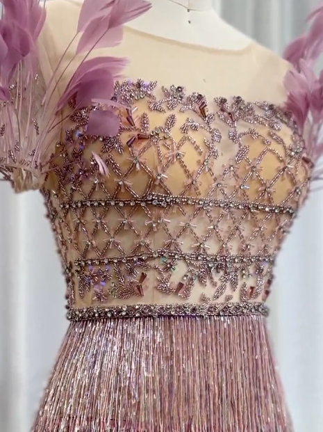 Elegant embellished tiered tassel gown with short feather sleeves in ombre design
