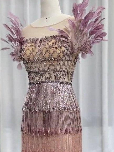 Elegant embellished tiered tassel gown with short feather sleeves in ombre design