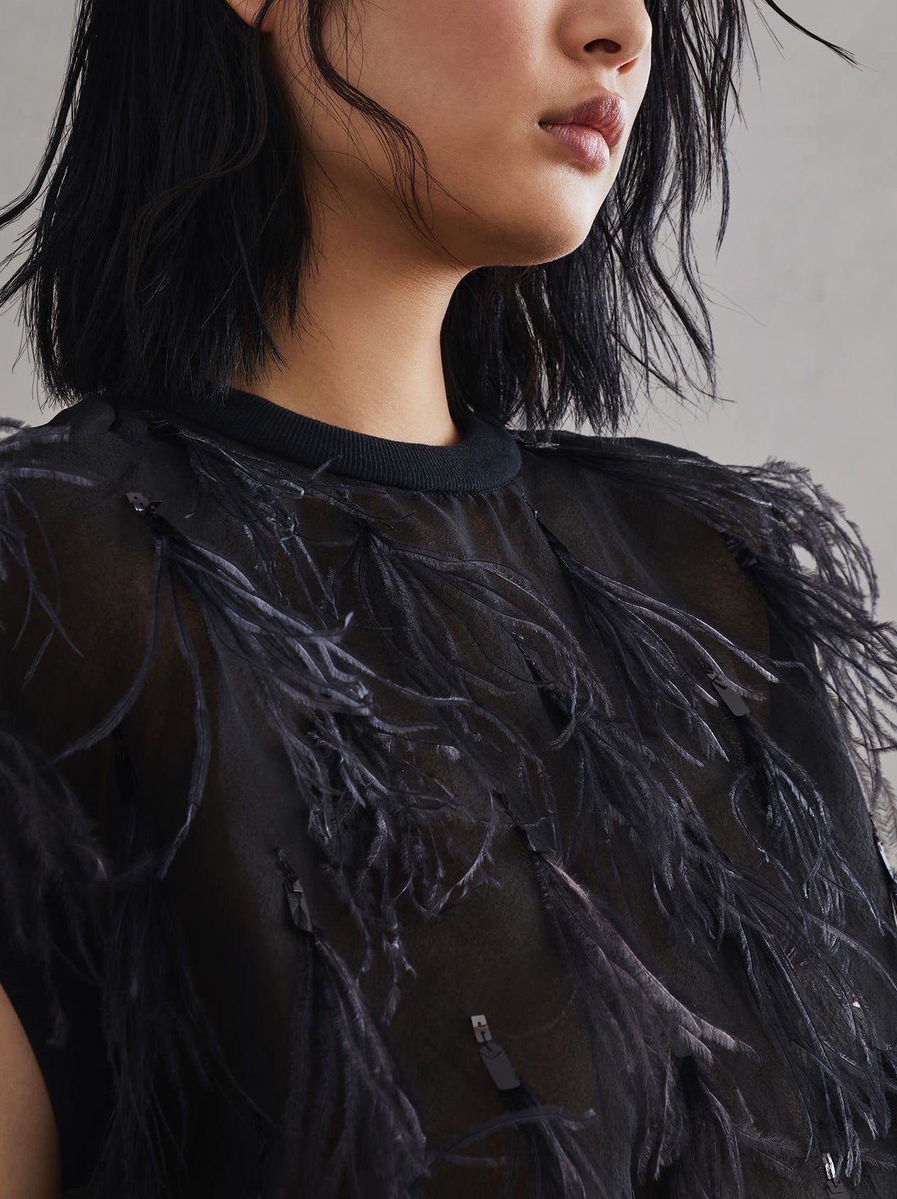 Black Feathered Sheer Top from the Feather-Embellished Knit-Trim Silk collection