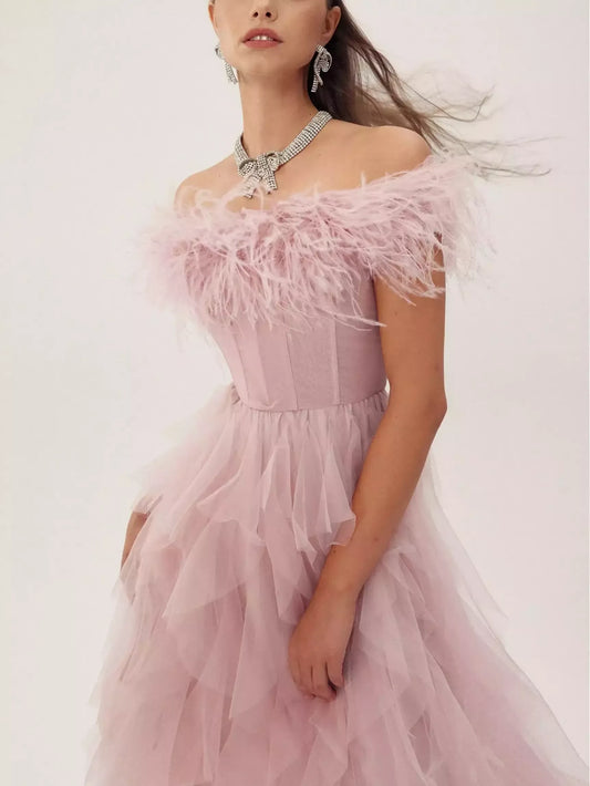 Feather-Trim Corset Off-Shoulder Tulle Dress - Dresses