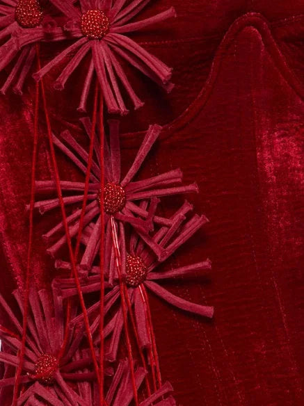 Floral-Appliqued Red Velvet Corset and Ruffle Skirt Set - Suits & Sets