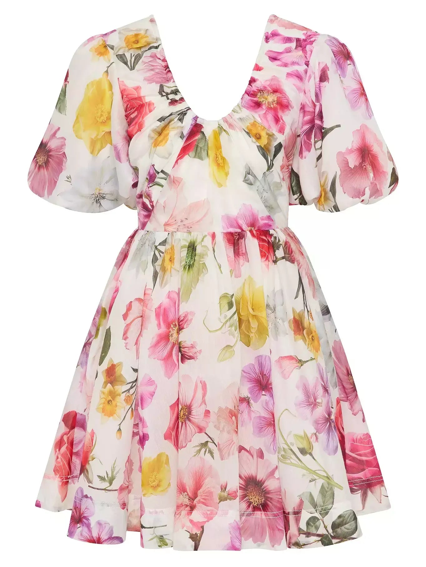 Floral Print Ruched Detail Fit and Flare Mini Dress - Dresses