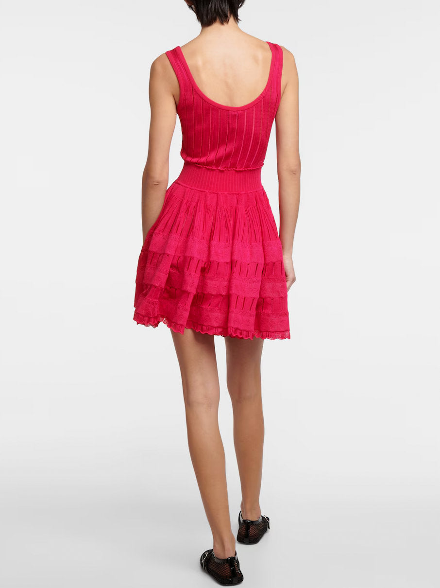 Knit Fit and Flare Skater Tank Dress in Raspberry Red with tiered design and vibrant style