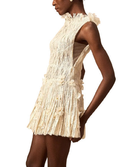 Lace and Mesh A-Line Mini Dress in Light Beige - Dresses