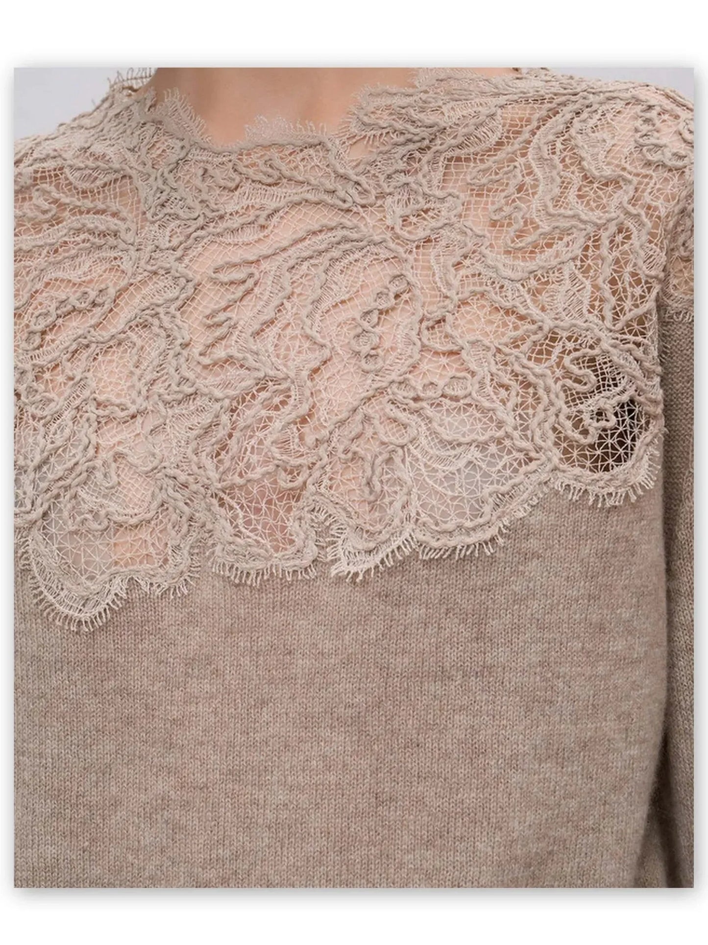 Lace Embroidered Cashmere Sweater in Beige - Sweaters & Knitwear
