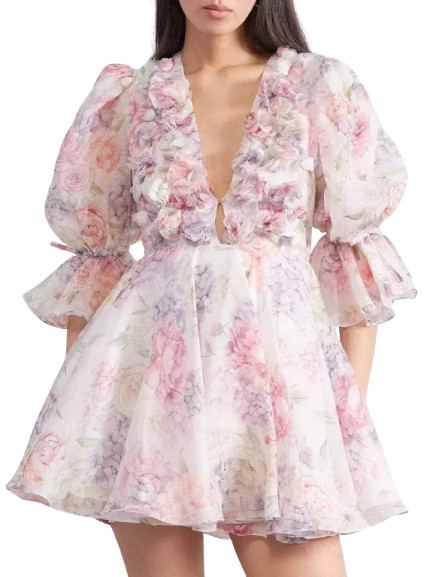 Floral Appliqued and Printed Flared Mini Dress