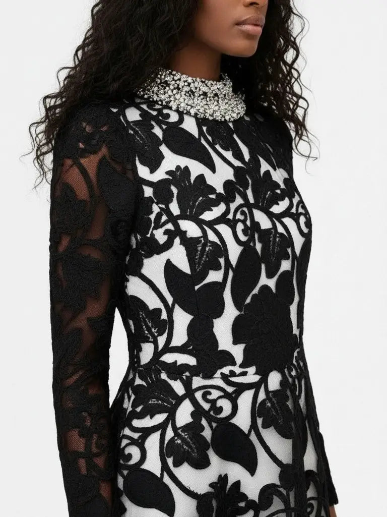 Black Embroidered Lace Gown with Crystal Collar - Dresses