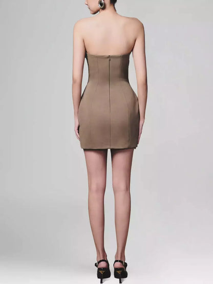 Blue Rose-Appliques Pinstripe-Contrast Brown Mini Dress - Dresses