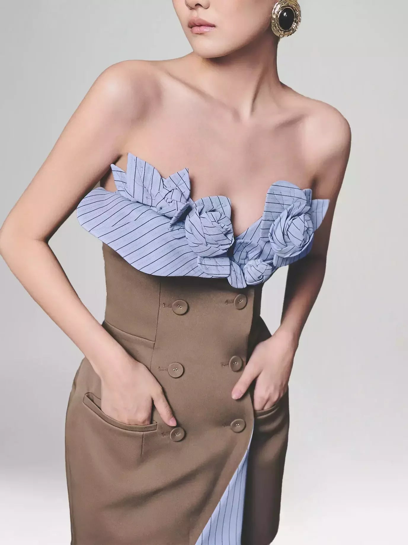 Blue Rose-Appliques Pinstripe-Contrast Brown Mini Dress - Dresses