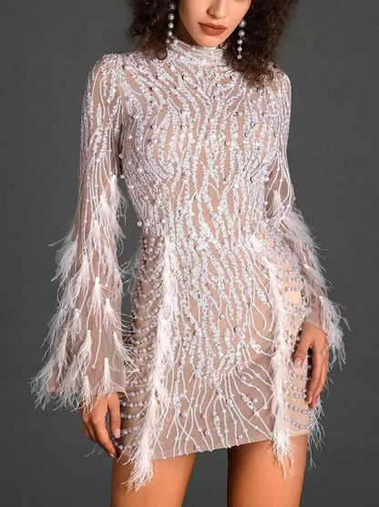 Embellished Feather-Trim Mock-Neck Mesh Mini Dress - Branna Couture