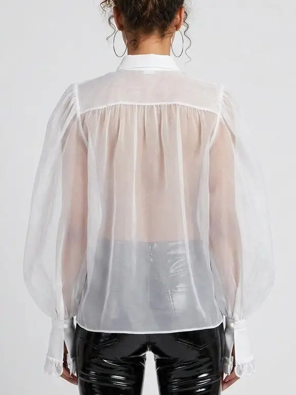 Embroidered Silk Organza Puff-Sleeve Blouse - Tops