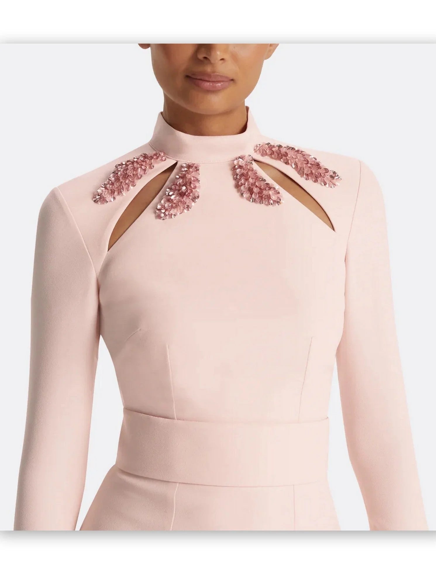 Long-Sleeve Fit and Flare Gown in Pink - Dresses