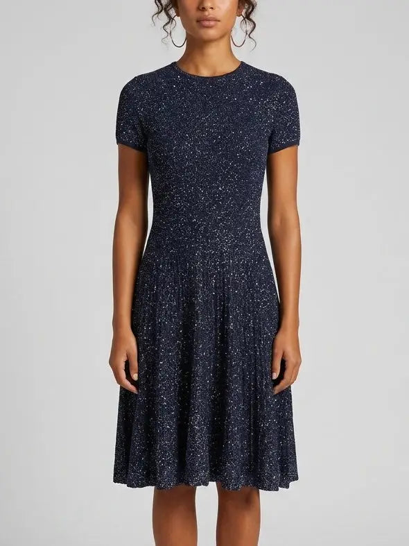 Navy Sequin Knit Fit and Flare Dress