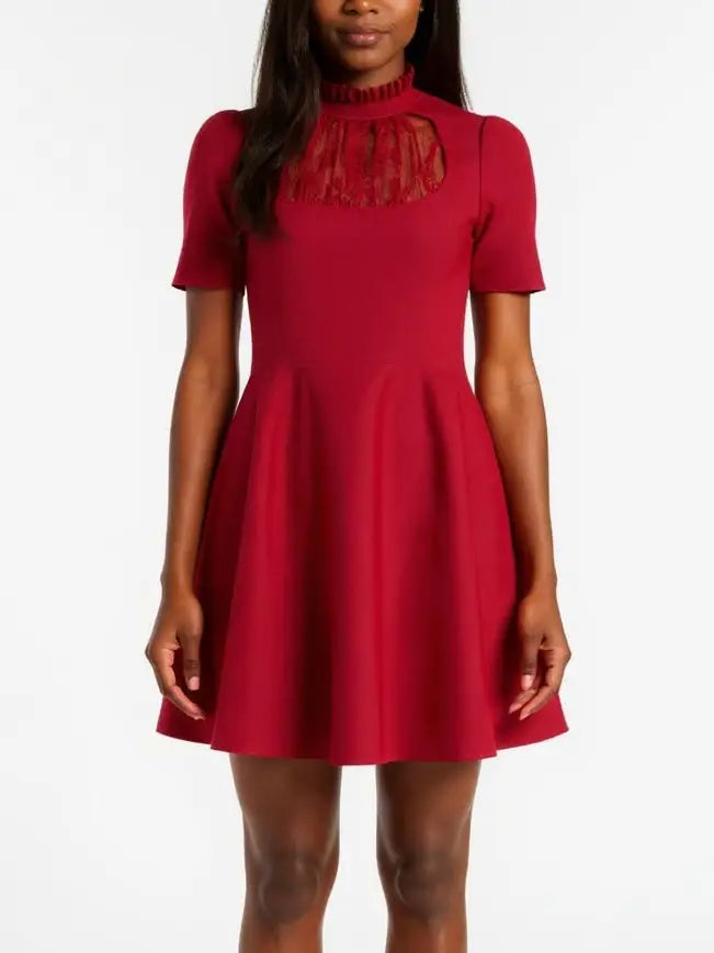Red Lace-Panel Fit & Flare Mini Dress - Dresses