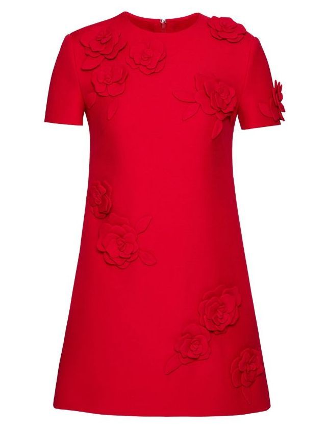 Rose-Appliqué Mini Dress in Red Branna Couture