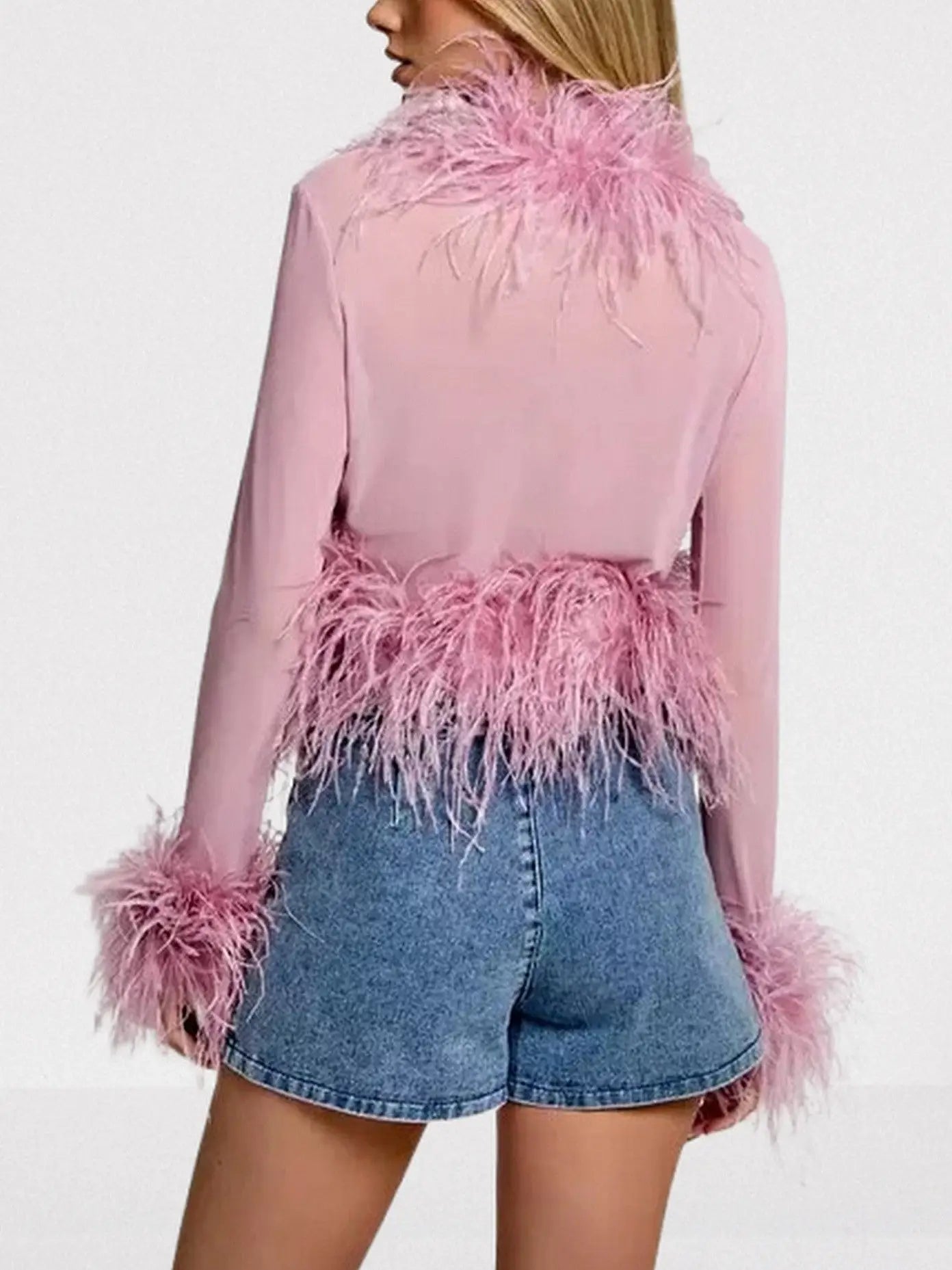 Sheer Feather-Trim Mesh Top - Tops