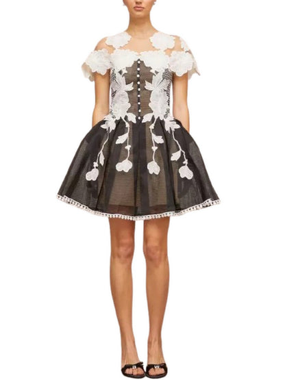 A-Line Black and White Floral-Embroidered Mesh Dress - Dresses