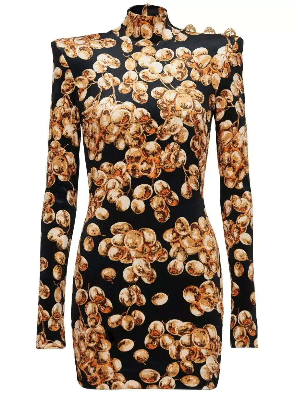 Black with Gold-Tone Grape Print Velvet Dress - Dresses