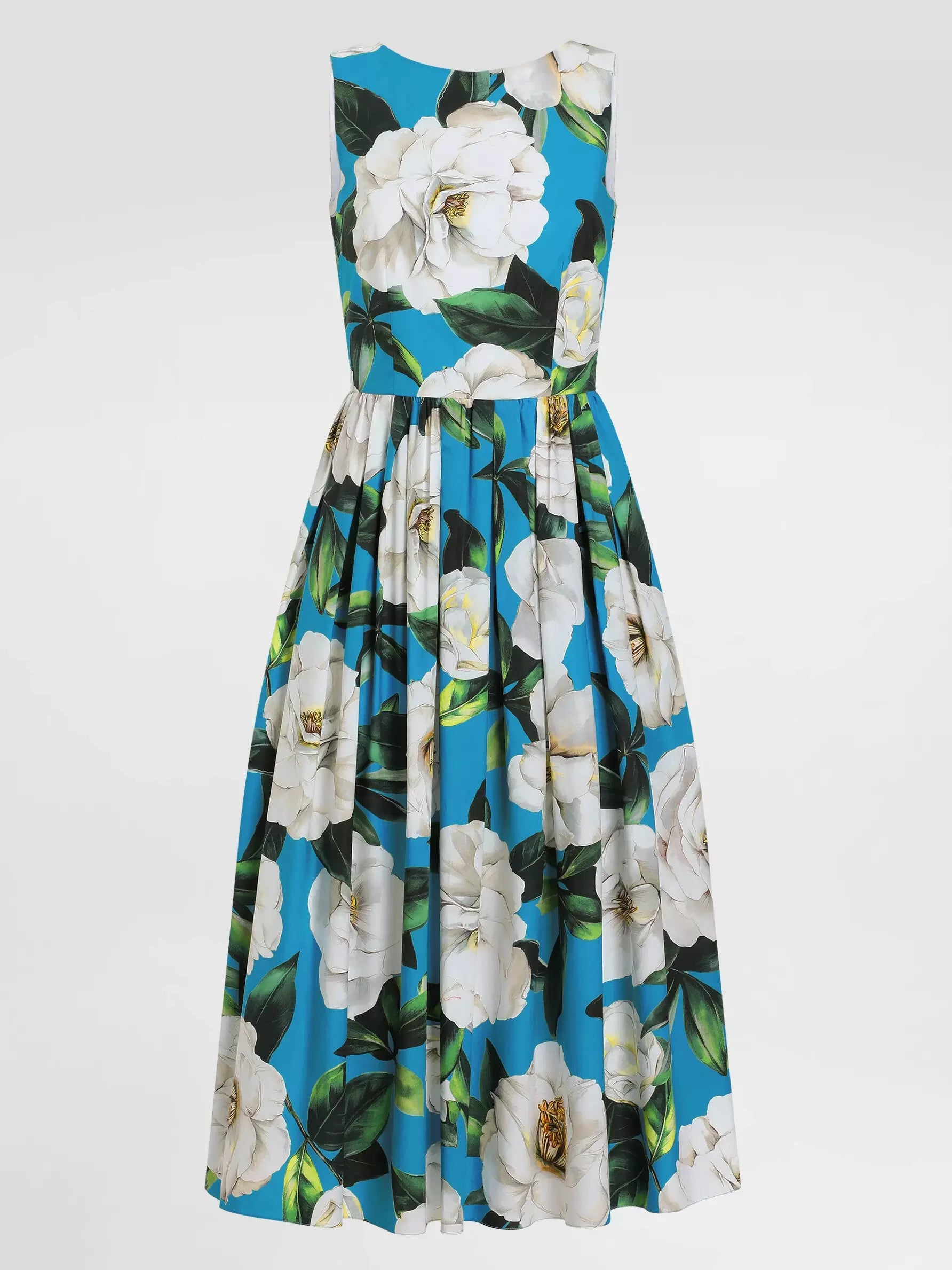 Floral Print Fit and Flare Sleeveless Cotton Dress - Dresses