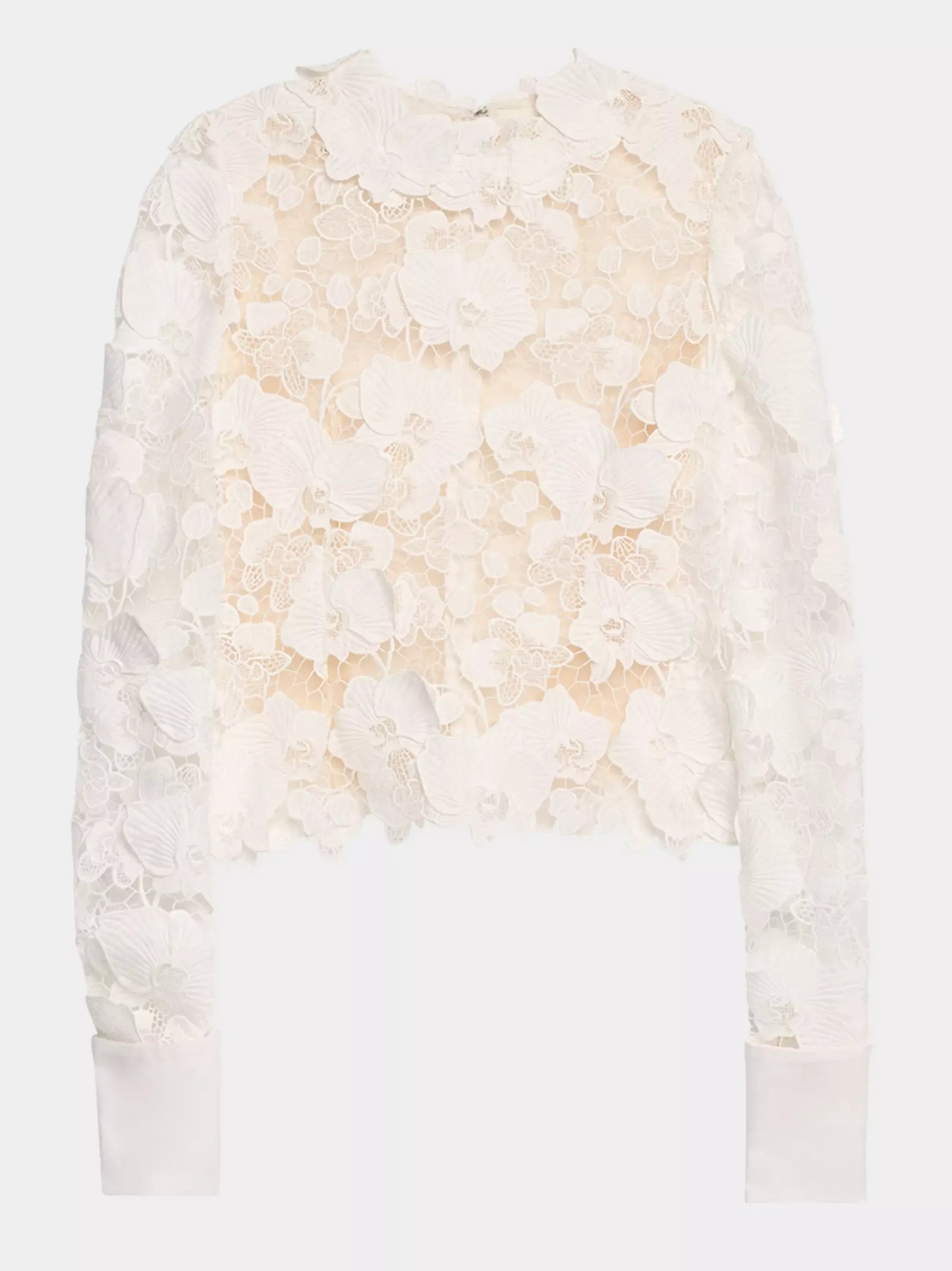 Guipure Lace Semi Sheer Long Sleeve Blouse - Tops