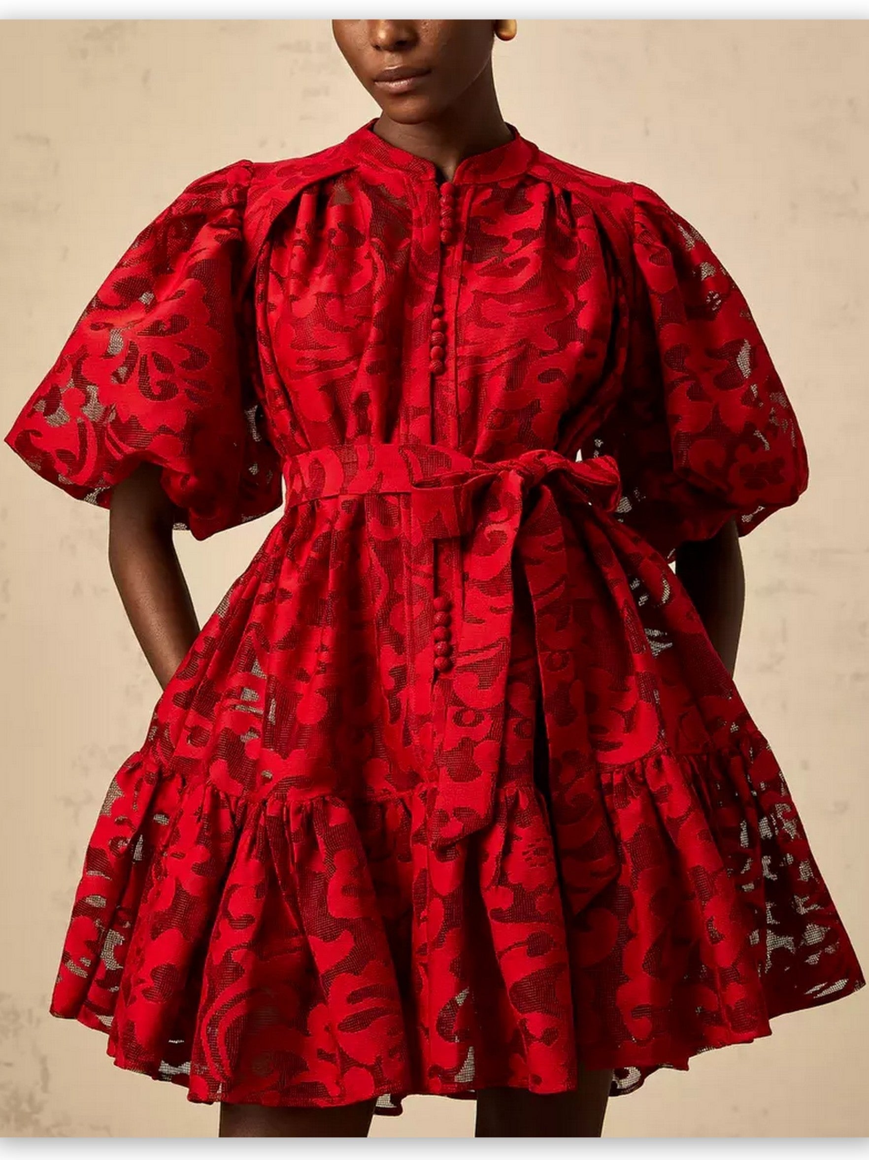 Jacquard Floral Red Puff-Sleeve Mini Dress - Dresses