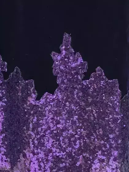 Purple Velvet Midi Skirt with Sequin Hem - Skirts