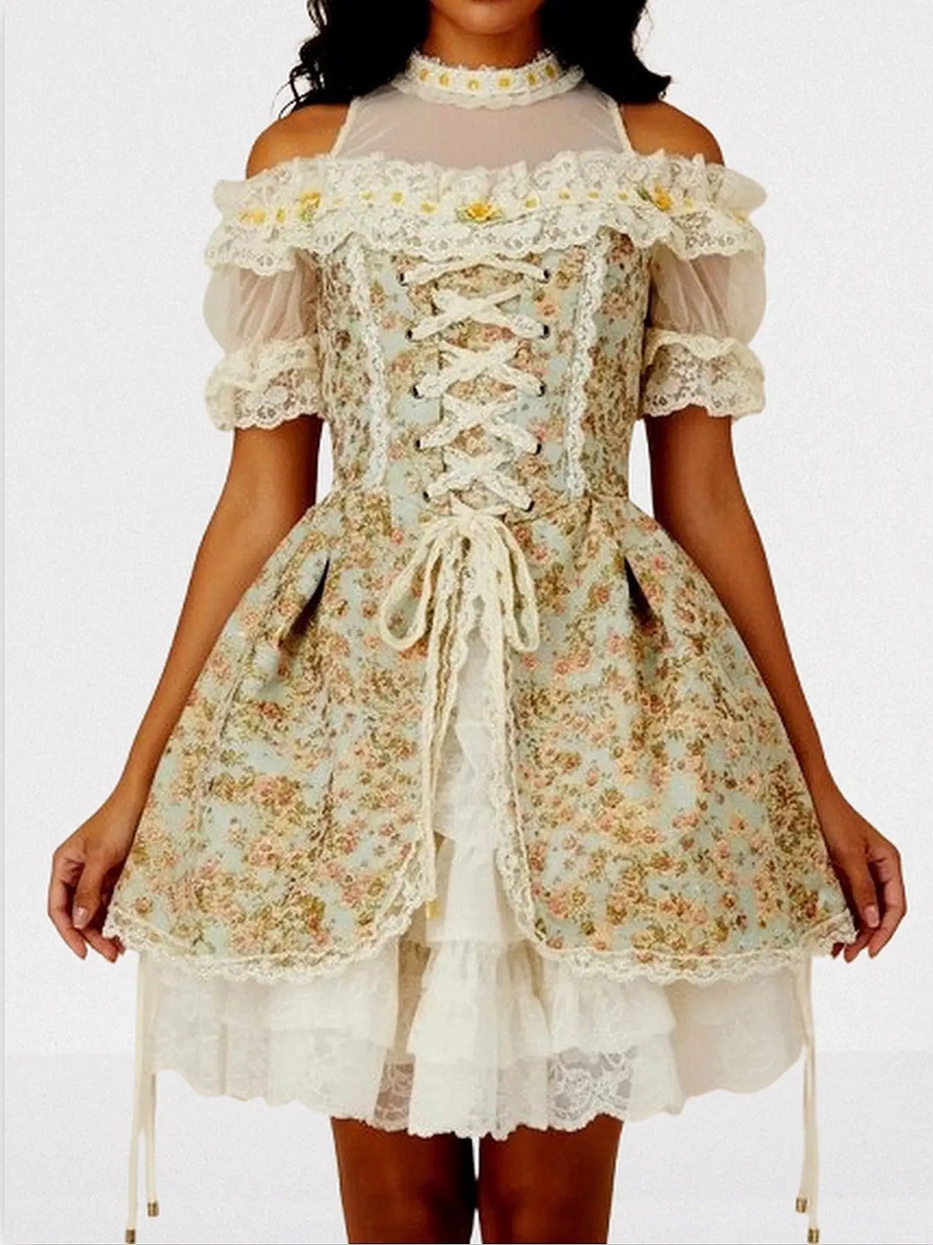 Renaissance Floral Lace Corset Mini Dress - Dresses